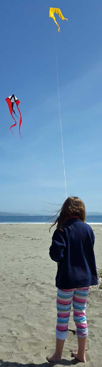 Chloe accepts an invitation to fly a kite