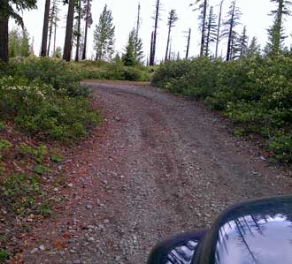In search of dispersed camping on forest service roads