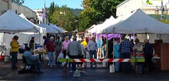 Downtown Coos Bay Farmers Market, Behind: a view from behind the booths