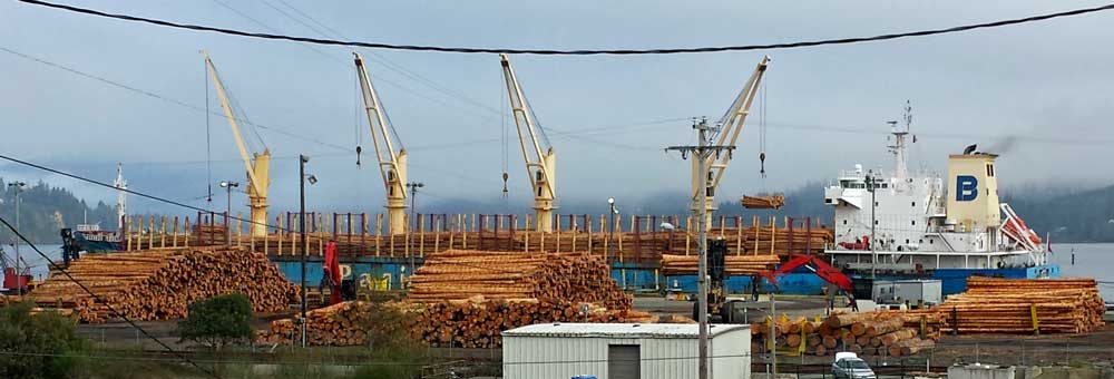 Logs loaded for export to China