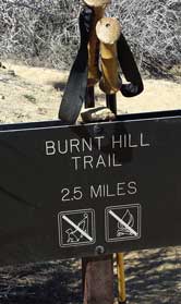 Burnt Hill, my return trail passed on the way to the summit, Behind: On the summit overlooking Yucca Valley, CA