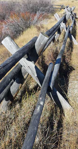 Pioneer fencing, Behind: Teton Range identification