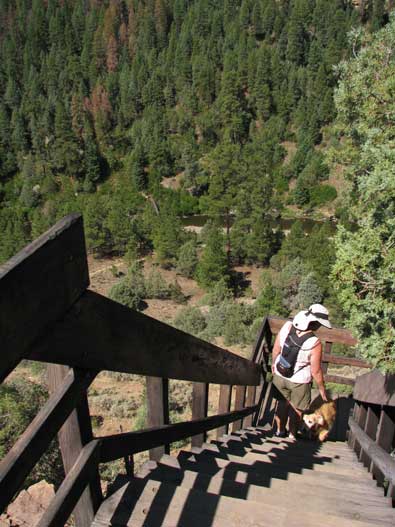The Rio Chama trail begins at a set of stairs off a short cliff from the top.