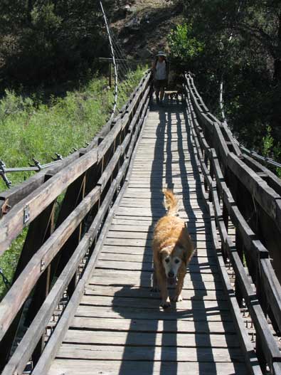 At the lowest point of the trail is the suspension bridge over Rio Chama
