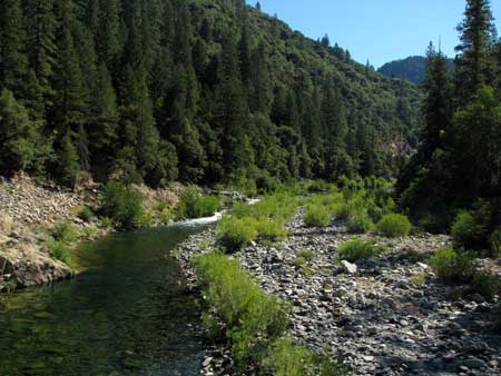 North Yuba River as it flows into Rocky Rest Campground