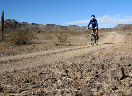 Mountain bike riding in the Arizona desert