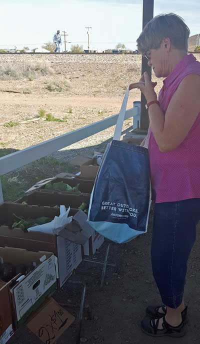 Shopping for vegitables and fruit