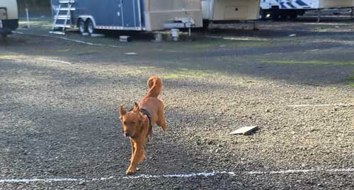 Running in the storage area