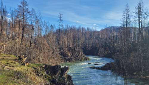 Archie Creek Wildfire