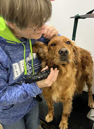 Bath time