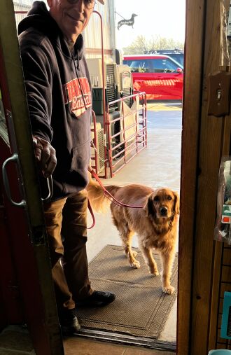 Early morning start with Abby to the groomer