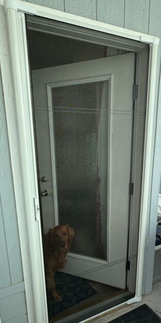 A screen for Abby to see, hear and smell the outside air