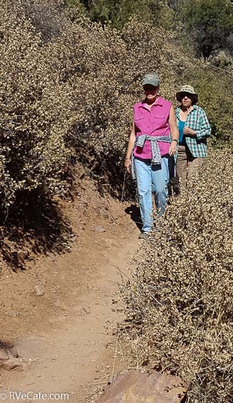 Gwen and Jeanne hiking to the base of Natural Bridge