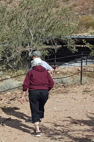 Exploring the wildlife water system