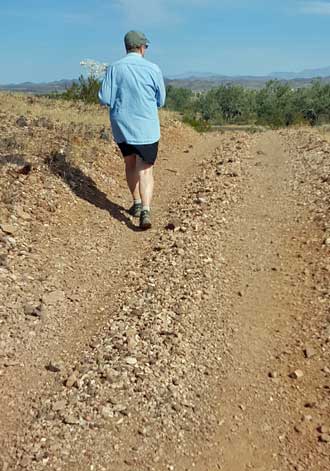 Our hiking road