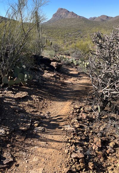 Hiking in the nearby desert