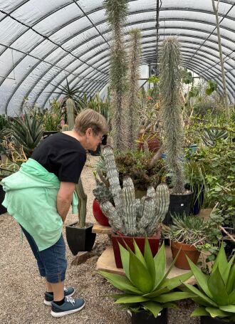 Shopping at a cactus nursery