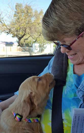 Abby coming home from the breeder