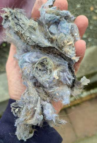 Lint cleaned out of the vent