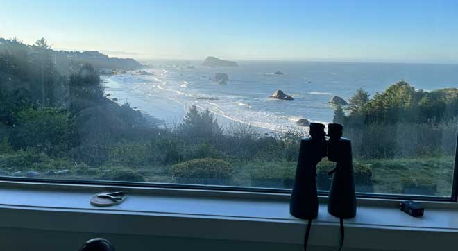 View of the Pacific Ocean from Dave and Brook's livingroom