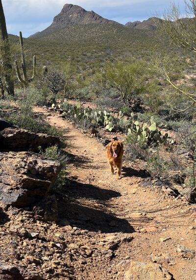 Abby, Gary and I reach the top of the trail