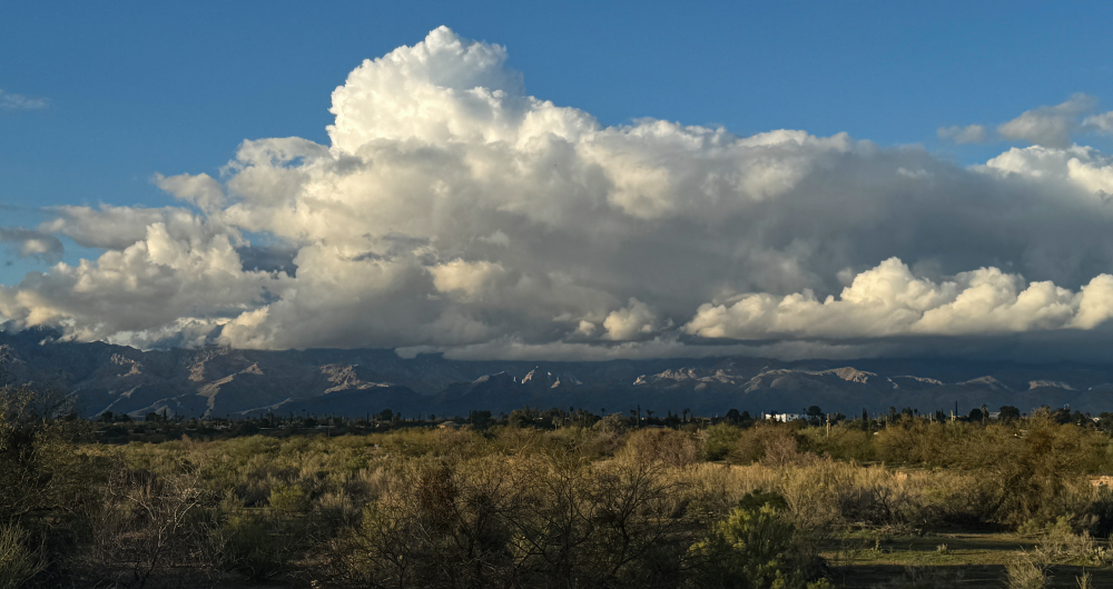 The end of the day and storm leaves