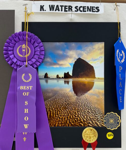 Best of Rincon Country East Photo show