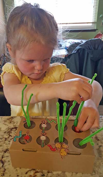 Lucy builds a vegetable garden