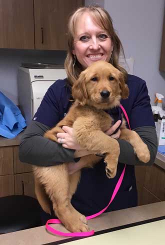 Abby's Vet, Dr. Laura Bailey