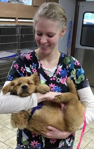 Ashley, Vet assistant, in charge of Abby during the visit