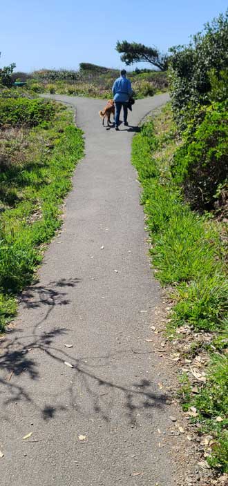 Hiking to Chetco Point