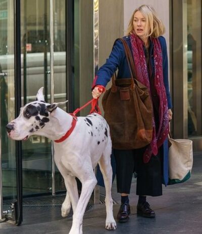 Naomi Watts did most of the talking