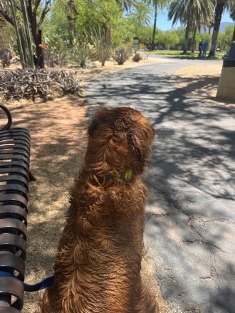 Agua Caliente County Park