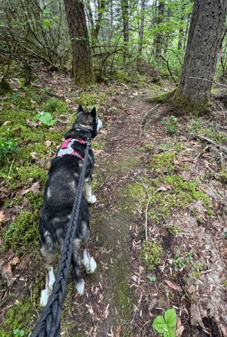 Walking the trail with Dave