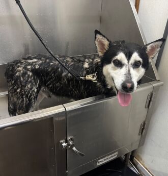 Probably Dave's first ever bath