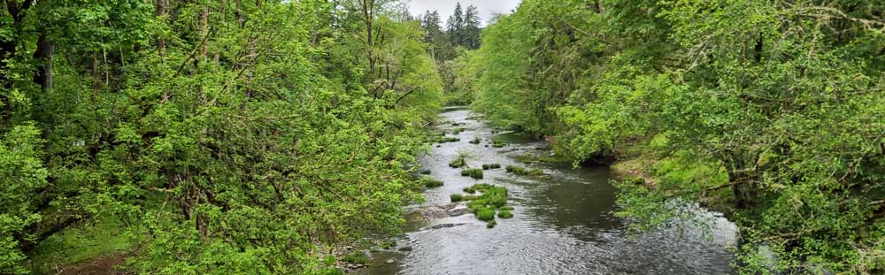 Calapooia Creek