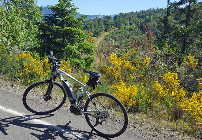 Oregon is green this time of year. 