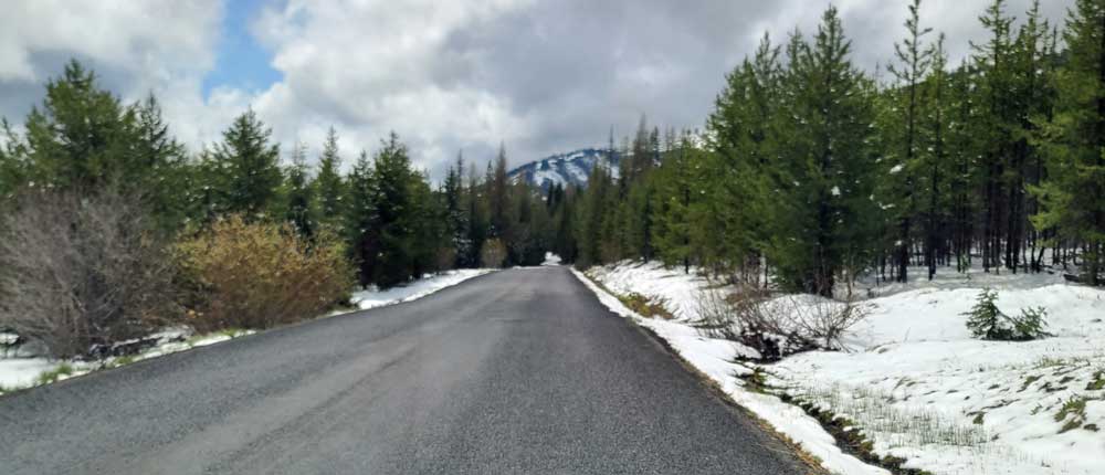 Forest road to Hells Canyon Overlook