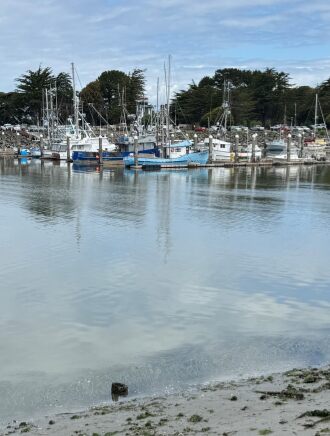 Walking the wharf