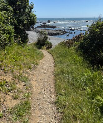 Trail to the water