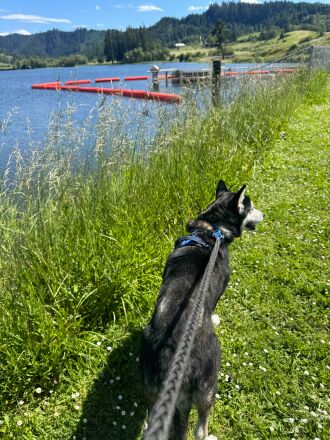 Hiking along the Plat I Reservoir for something new
