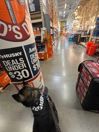 Dave in Home Depot with his Adopt Me bandanna