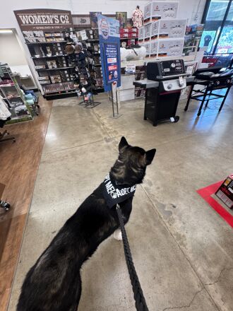 Dave in Tractor Supply with his Adopt Me bandanna