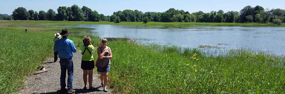 Sauvie Island Wildlife Refuge