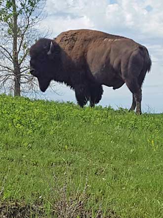 Alone on the Prairie