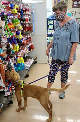 Visiting Petco after training