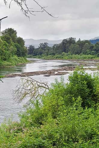 The Umpqua River