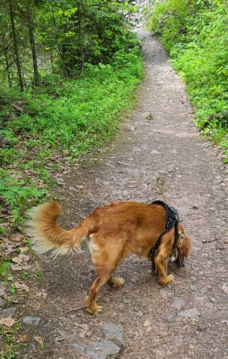 Pulaski Tunnel Trail