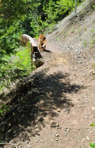 On the Pulaski Tunnel trail