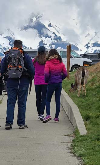 Olympic Mountains in the background